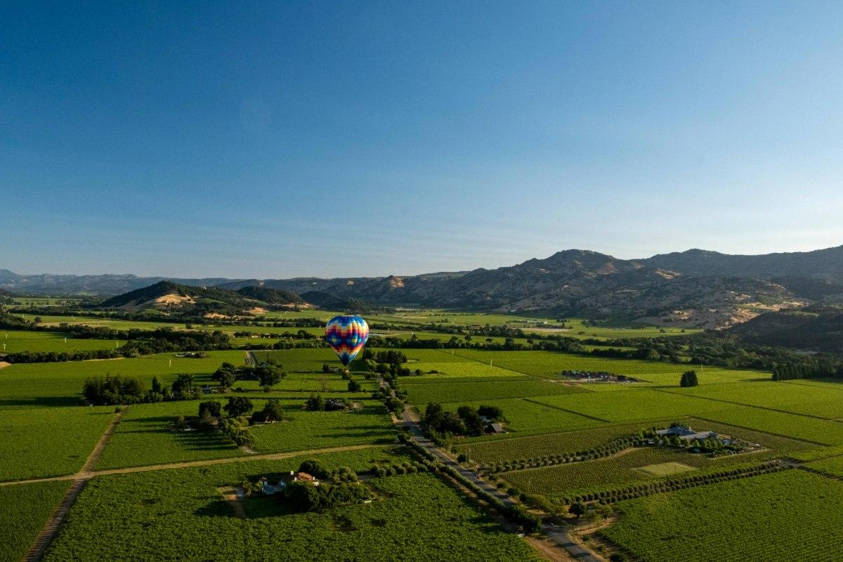 Napa's Split Personality Complex